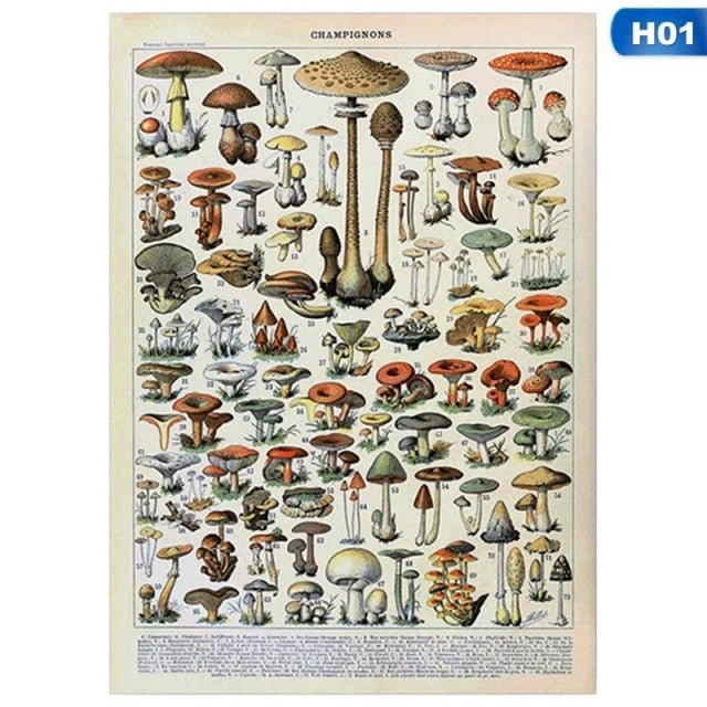 Botanical Vintage Print - Wicked Mystics