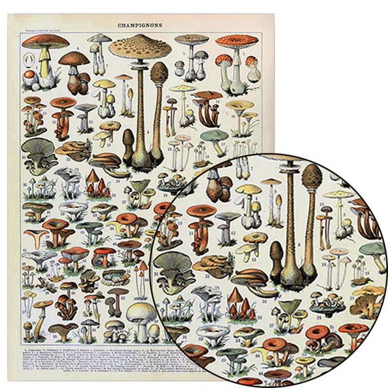 Botanical Vintage Print - Wicked Mystics