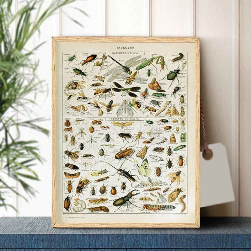 Botanical Vintage Print - Wicked Mystics