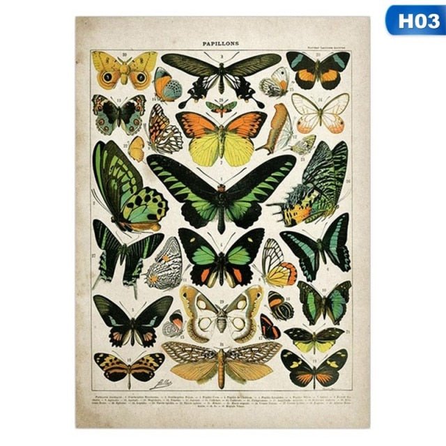Botanical Vintage Print - Wicked Mystics
