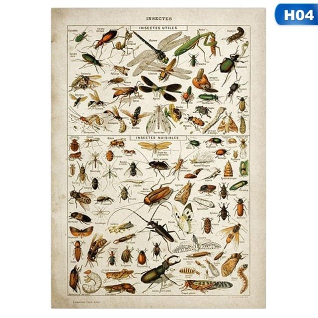 Botanical Vintage Print - Wicked Mystics