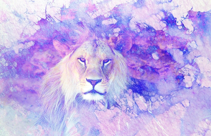 Leaping with Leo's Inner Child: A Voyage of Fun and Fierce Discovery