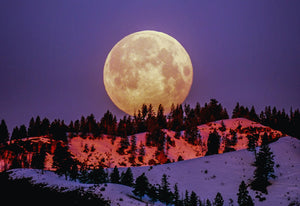 Mystical Reflections: Embracing the Power of the Cold Moon in December
