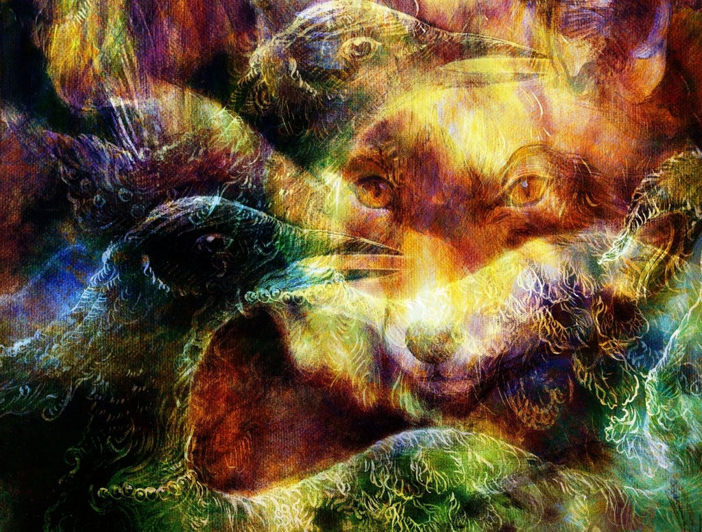 Unseen Forecasters: The Mysterious Ways Animals Predict Natural Disasters