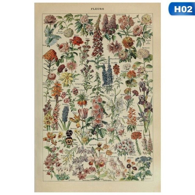 Botanical Vintage Print - Wicked Mystics