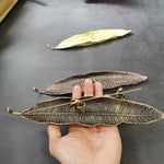 One Leaf Incense Burner - Wicked Mystics